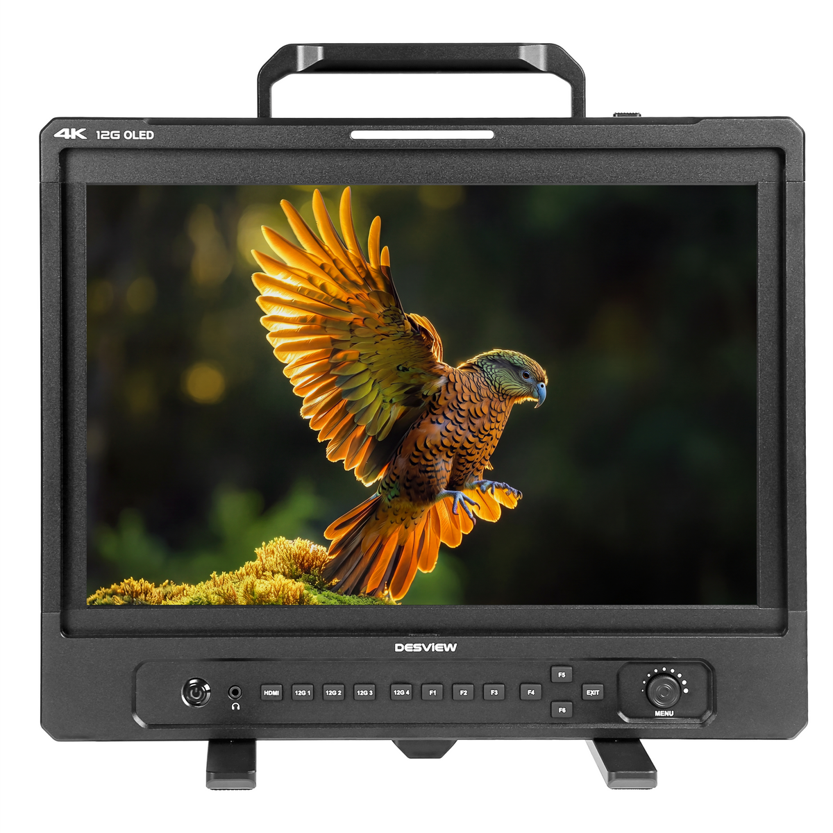 Monitor